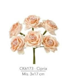 roselline-cipria-6pz